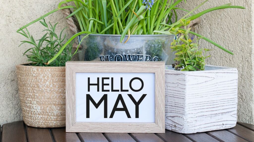 Blog Post Ideas for Month of May