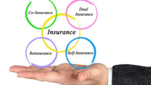 What are the 4 basic types of insurance? Best tips