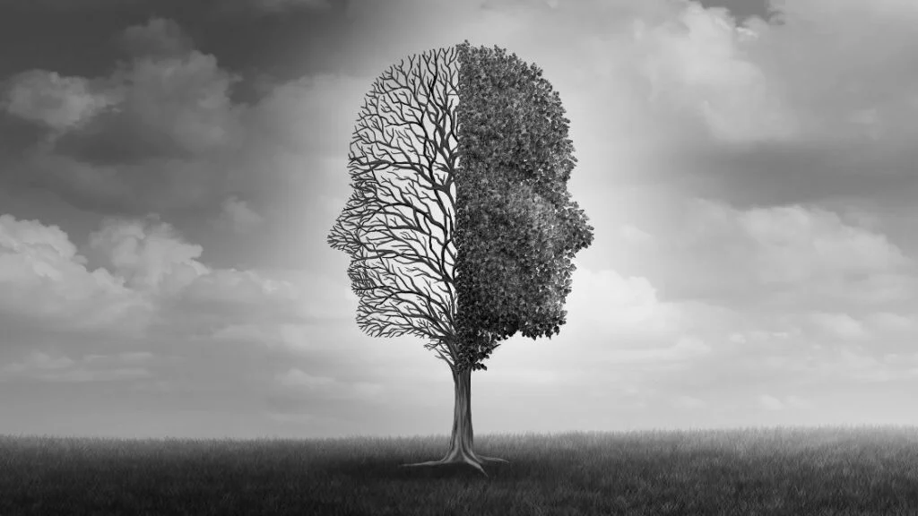 body dysmorphic disorder