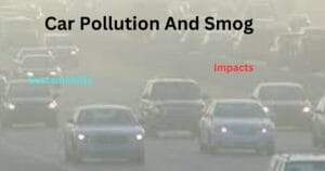 Car Pollution and Smog