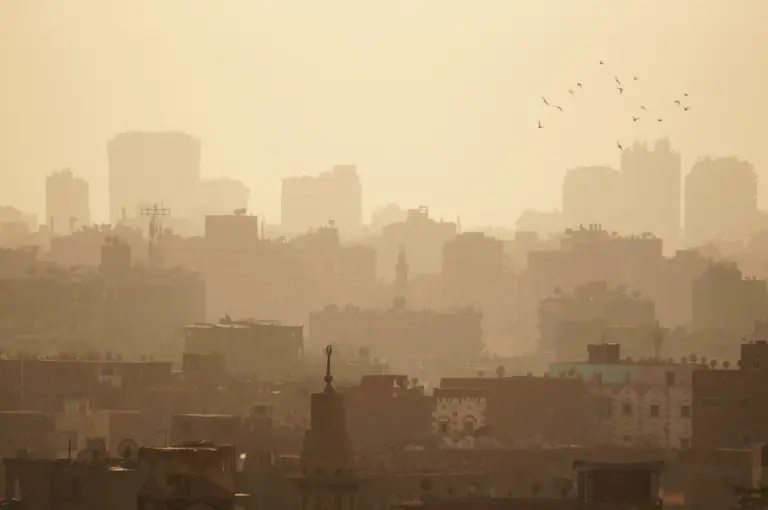 Smog Health Effects